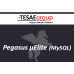 Pegasus μElite (Εμπορική Εφαρμογή η οικονομική λύση για το MyData)